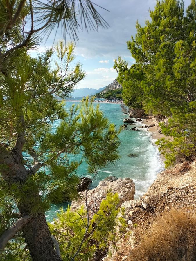 Studie-Apartment In Makarska, Kroatien Екстер'єр фото